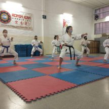 La Escuela Ronin Kan de karate cerró su primera semana de entrenamiento