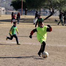 Más de 250 actividades gratuitas en Familia Activa 2026